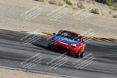 media/Feb-18-2024-Nasa AZ (Sun) [[891db5b212]]/7-Race Group A/Session 1 Turn 12 Exit-Bowl Entry/